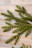 Искусственная ель Коттеджная 185 см зеленая Премиум