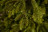 Искусственная ель Коттеджная 185 см зеленая Премиум