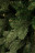 Искусственная сосна Изумрудная 305 см зеленая